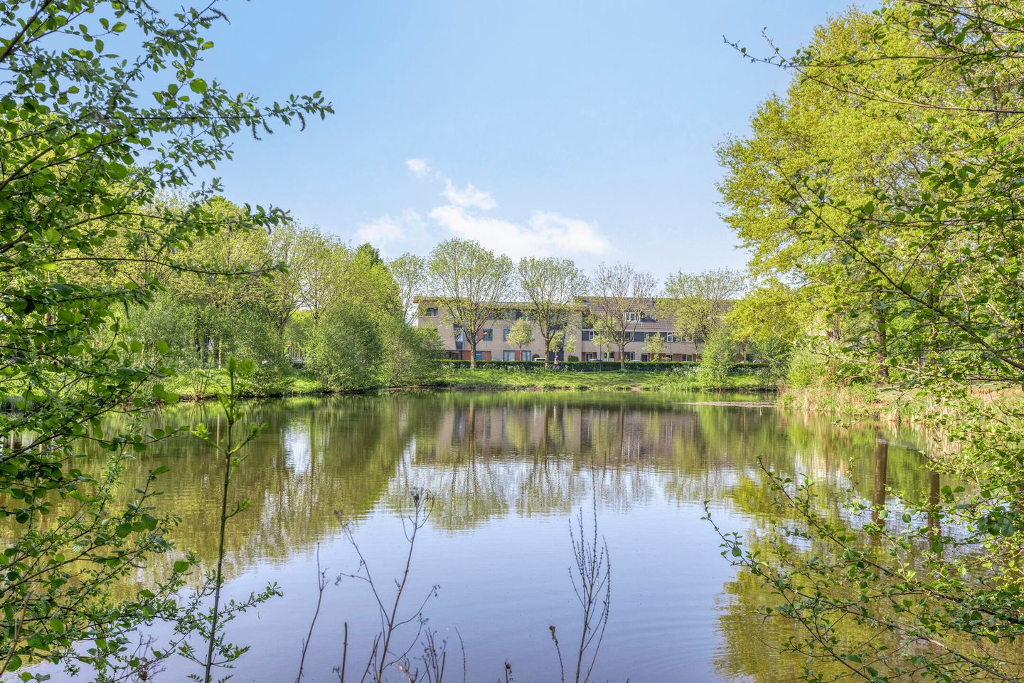 Foto 25 van Prunus 11