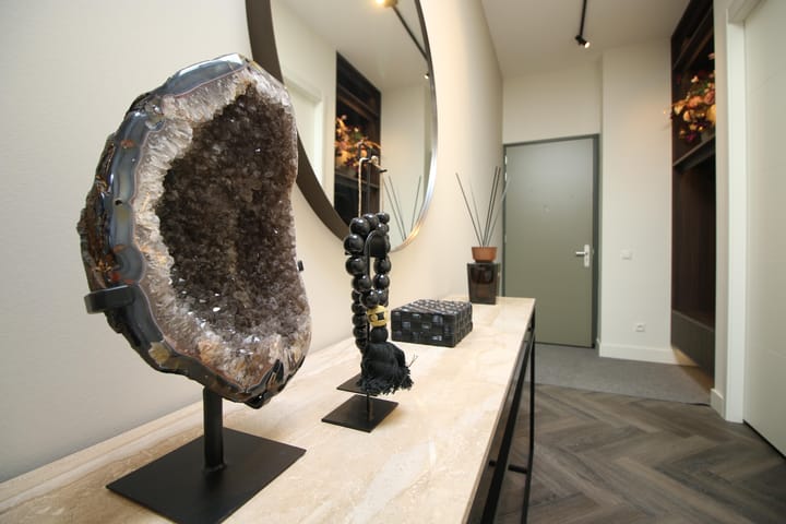 Photo 20 of Euryzakade