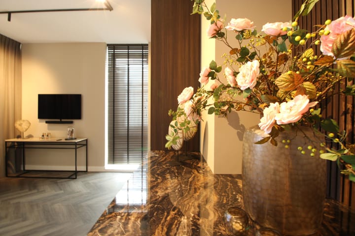 Photo 22 of Euryzakade