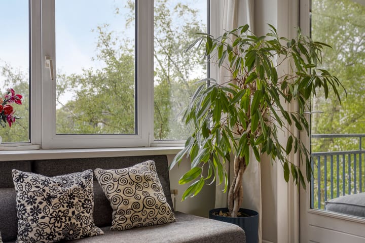 Foto 11 van Paul Scholtenweg 48