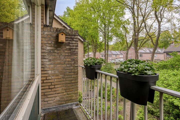 Foto 18 van Rode Schouw 29