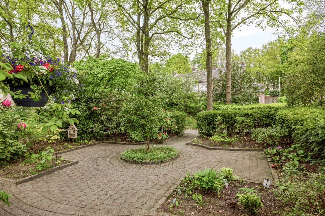 Foto 26 van Rode Schouw 29