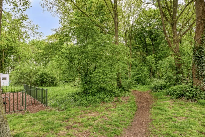 Foto 30 van Rode Schouw 29