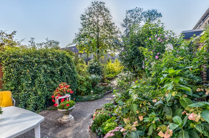 Foto 3 van Dinteldal 5