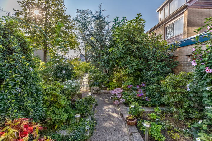 Foto 4 van Dinteldal 5