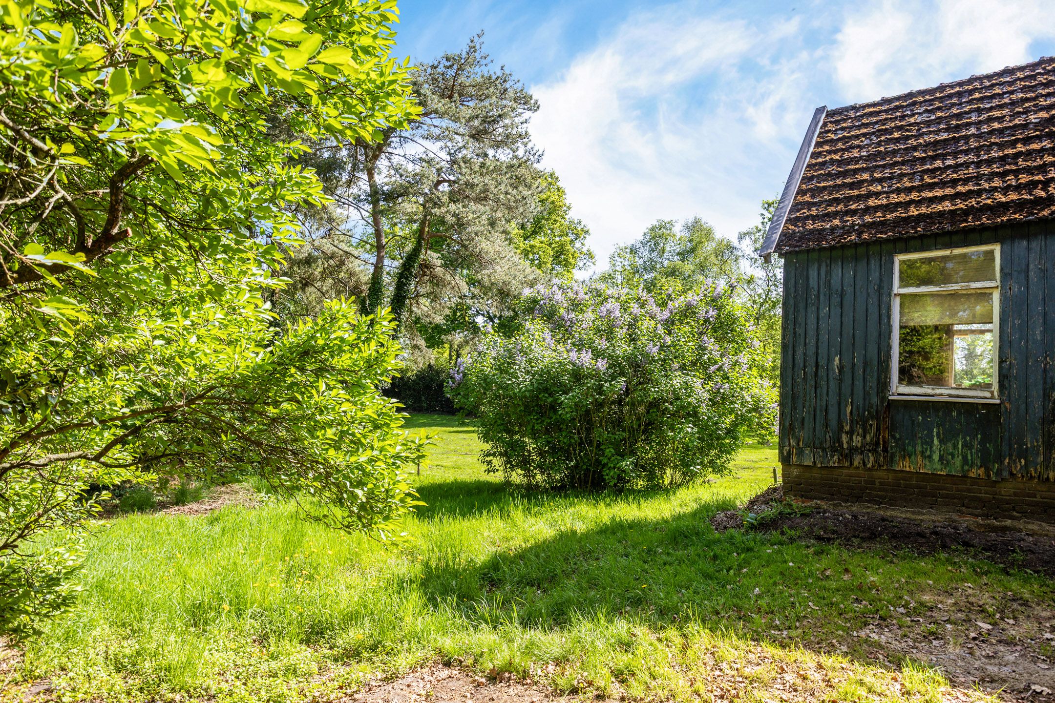 Foto 24 van Europaweg 241