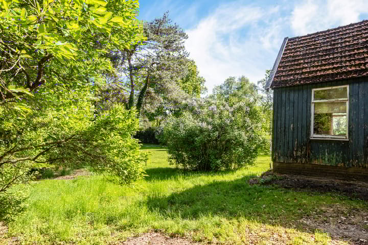 Photo 24 of Europaweg 241