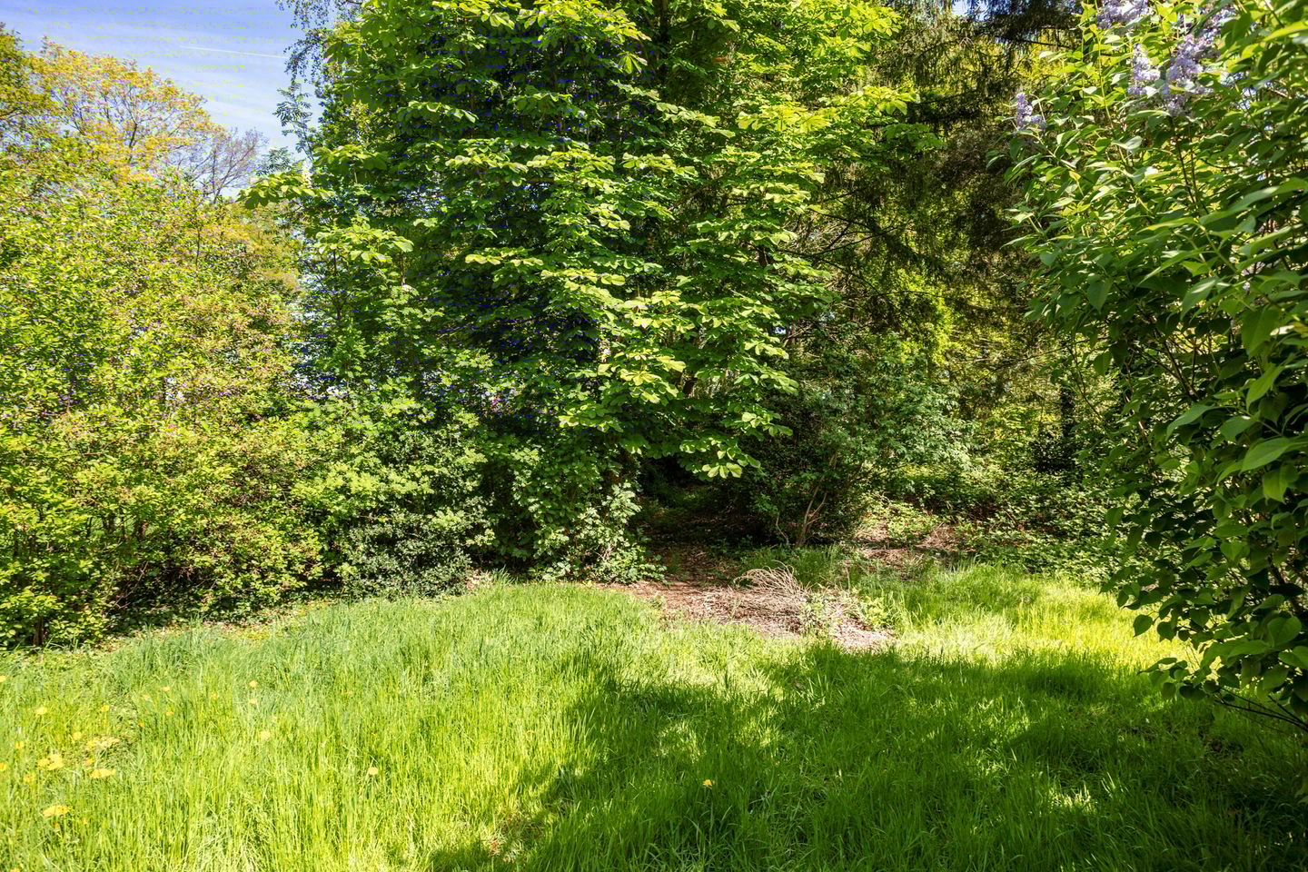 Foto 25 van Europaweg 241