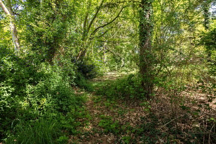 Photo 27 of Europaweg 241