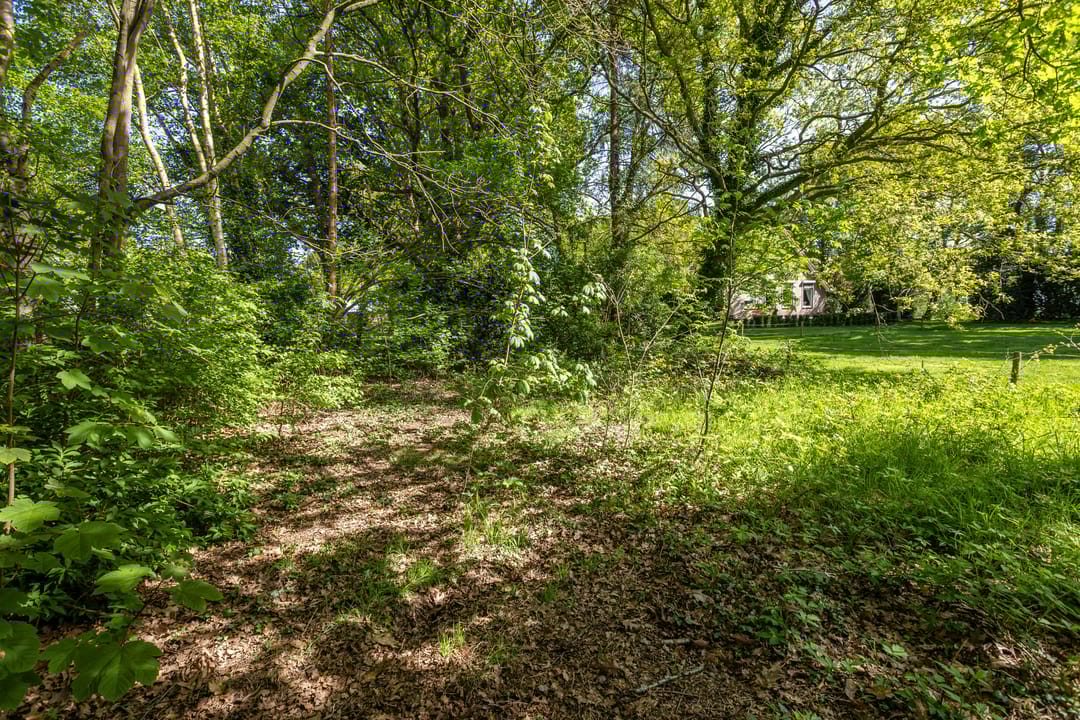 Foto 28 van Europaweg 241