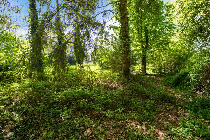 Photo 29 of Europaweg 241