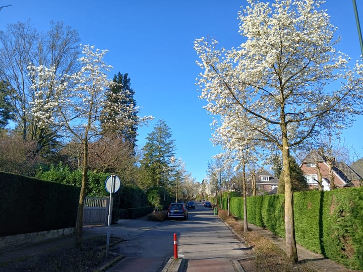 Foto 68 van Mariënbergweg 1