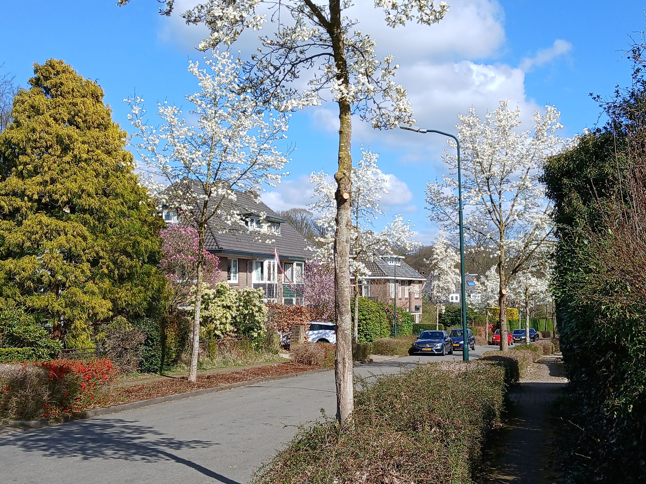 Photo 69 of Mariënbergweg 1