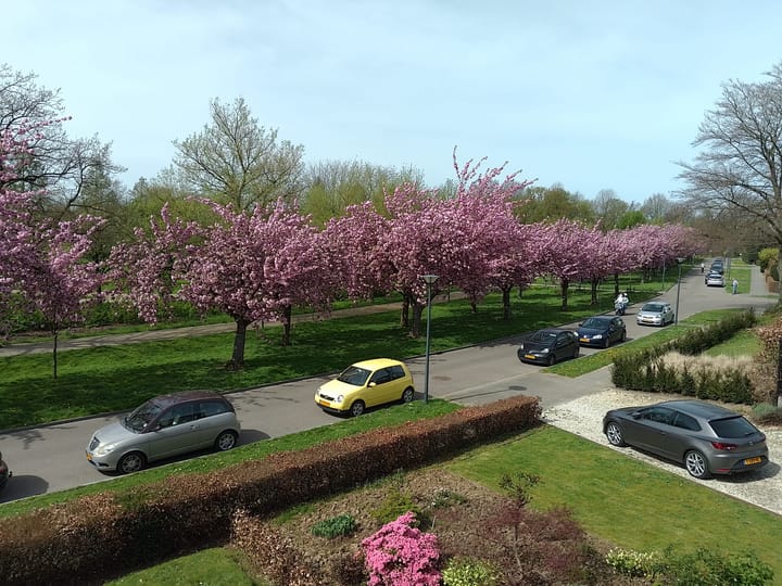 Foto 4 van Vijverweg 25