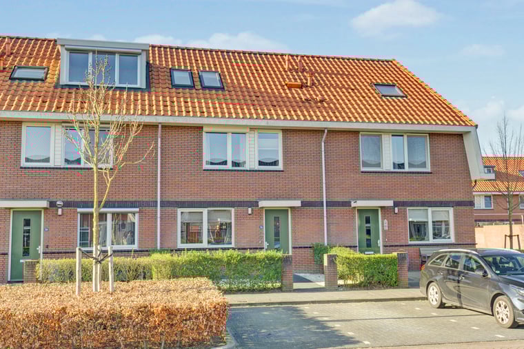 Stier 36 main image