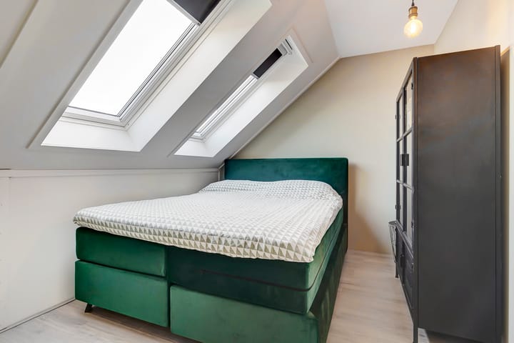 Foto 24 van Stier 36