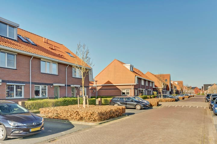 Foto 33 van Stier 36