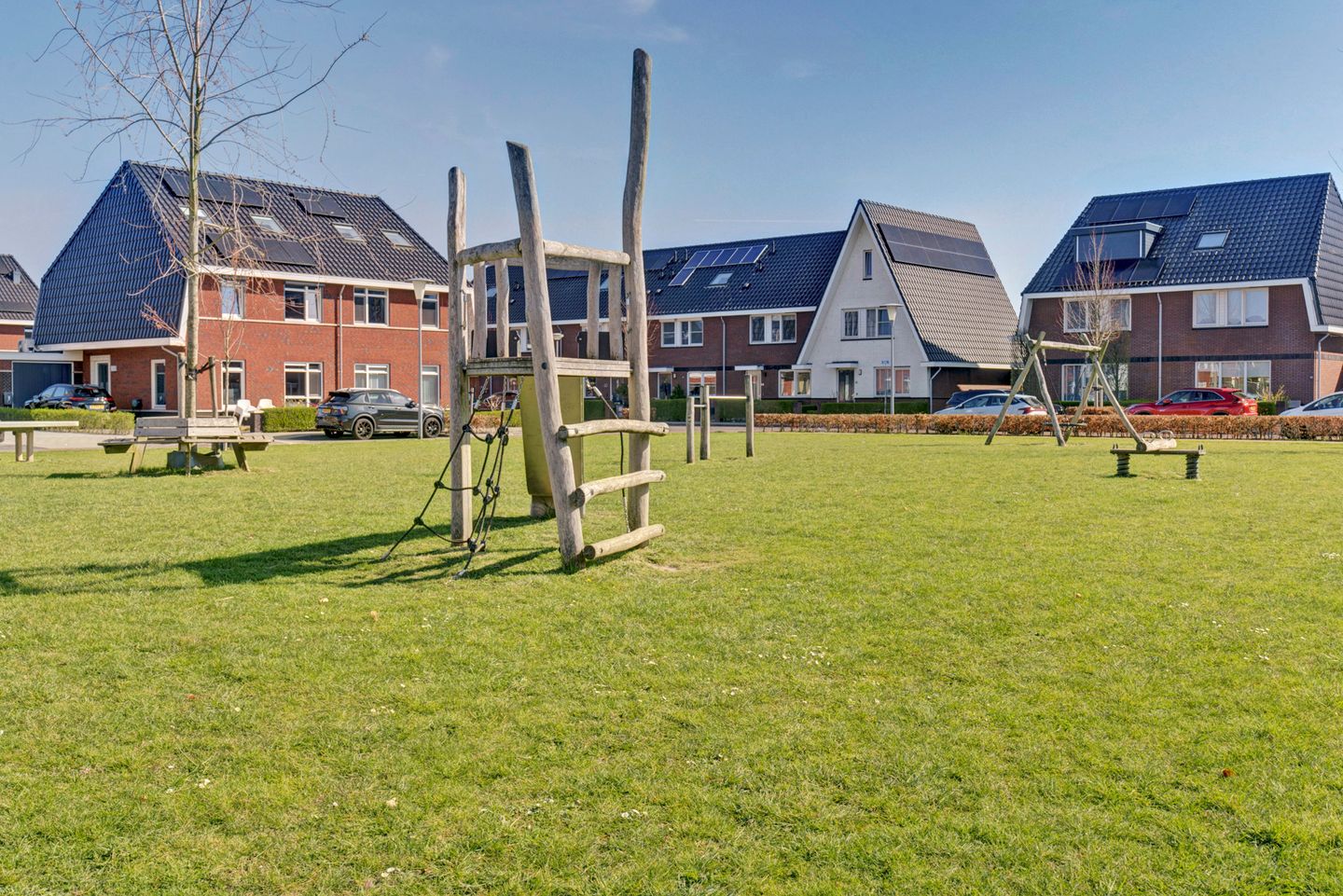 Foto 34 van Stier 36