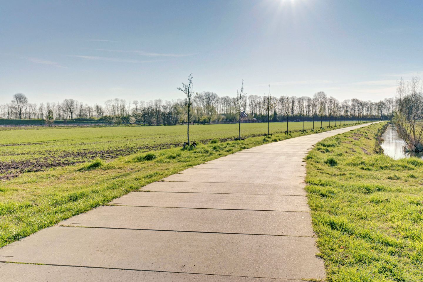 Foto 35 van Stier 36