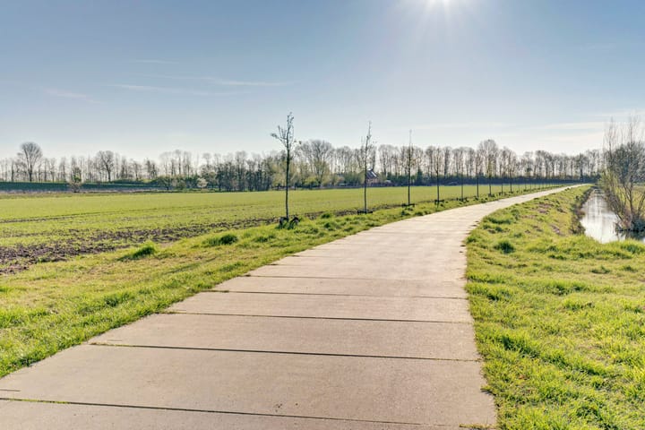 Foto 35 van Stier 36