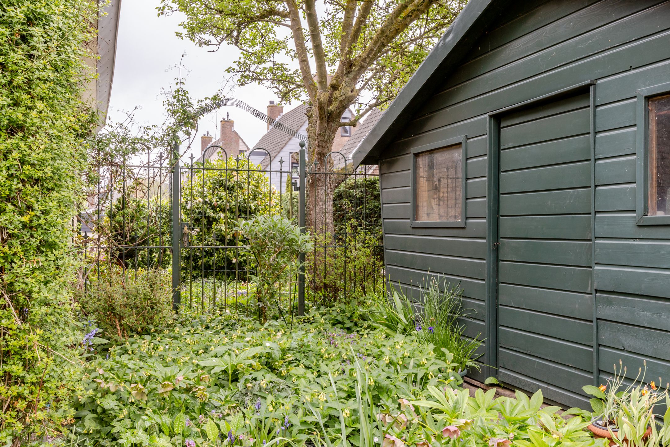 Foto 36 van Weidezoom 43