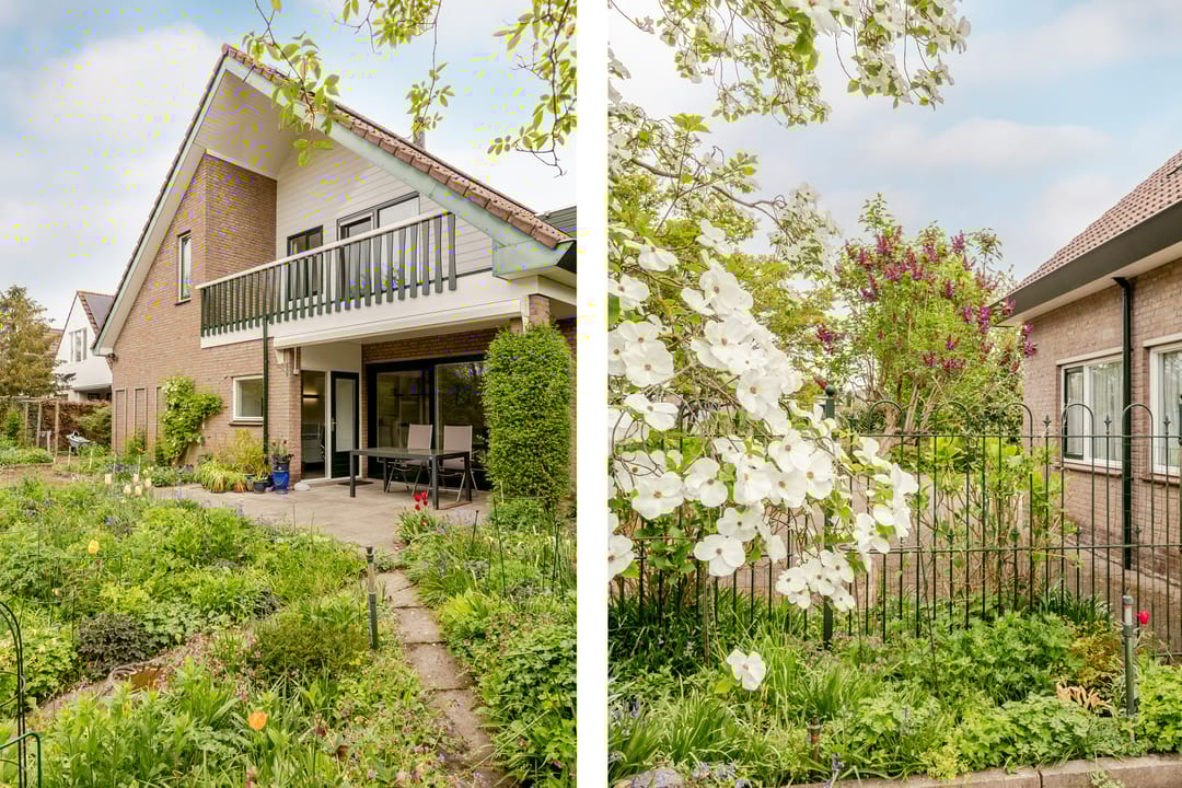 Foto 38 van Weidezoom 43