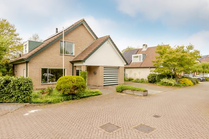 Foto 44 van Weidezoom 43