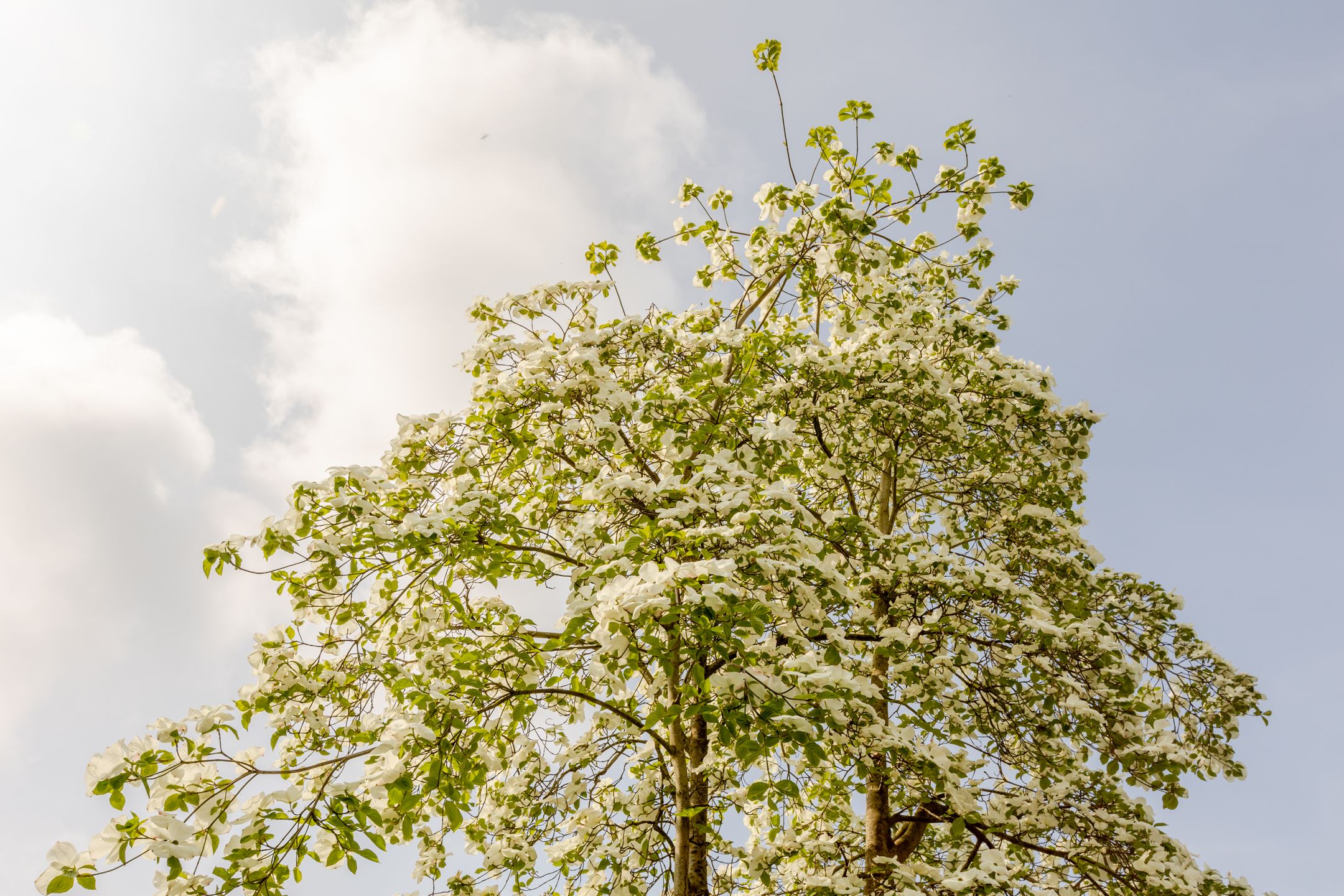 Foto 48 van Weidezoom 43