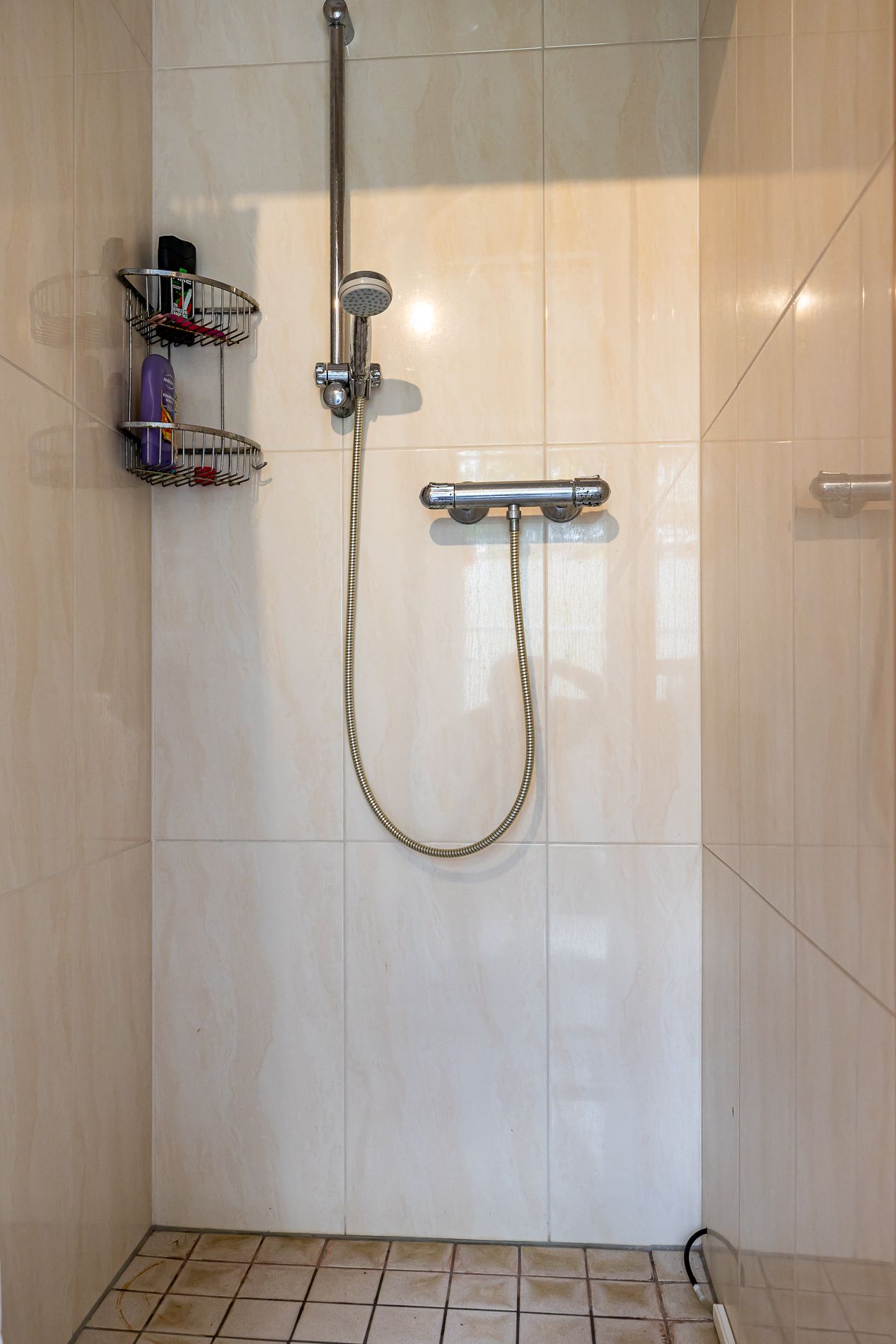 Foto 34 van Brandgans 6