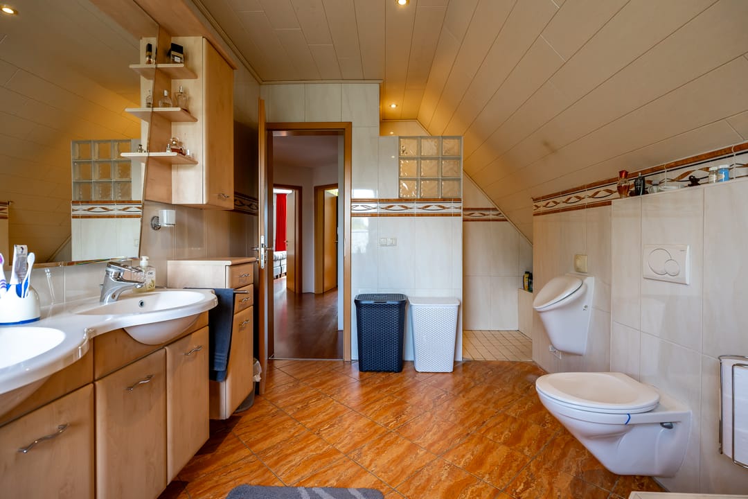 Foto 46 van Brandgans 6