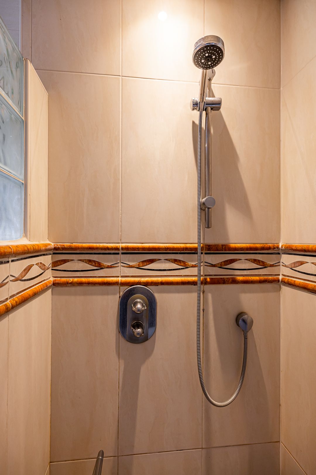 Foto 47 van Brandgans 6