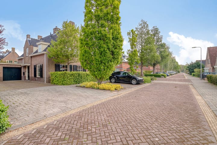 Foto 5 van Turfeiker 29