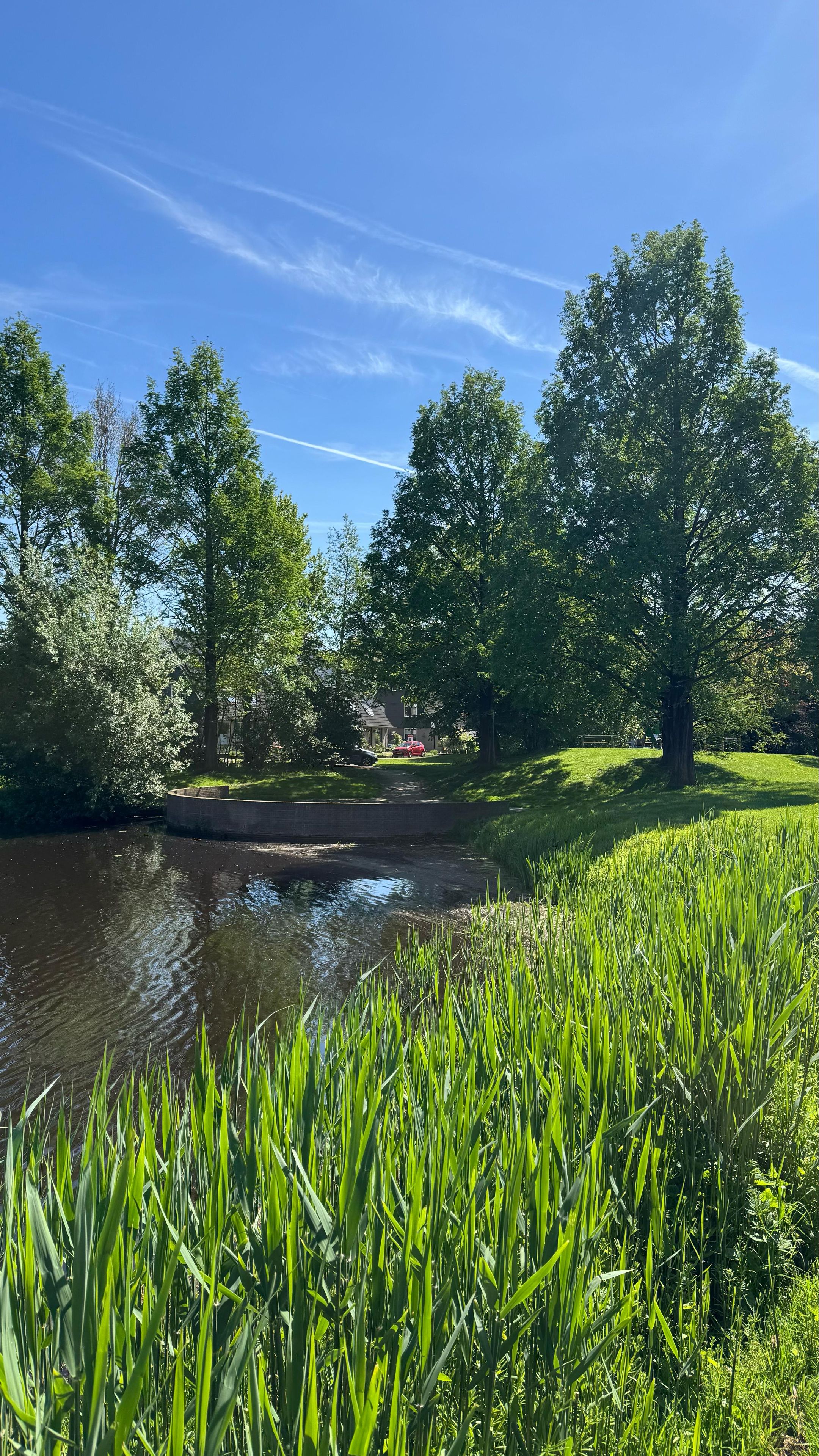 Photo 45 of Hooizolder 418