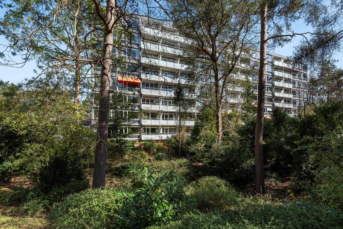 Foto 1 van Eper Veste 71