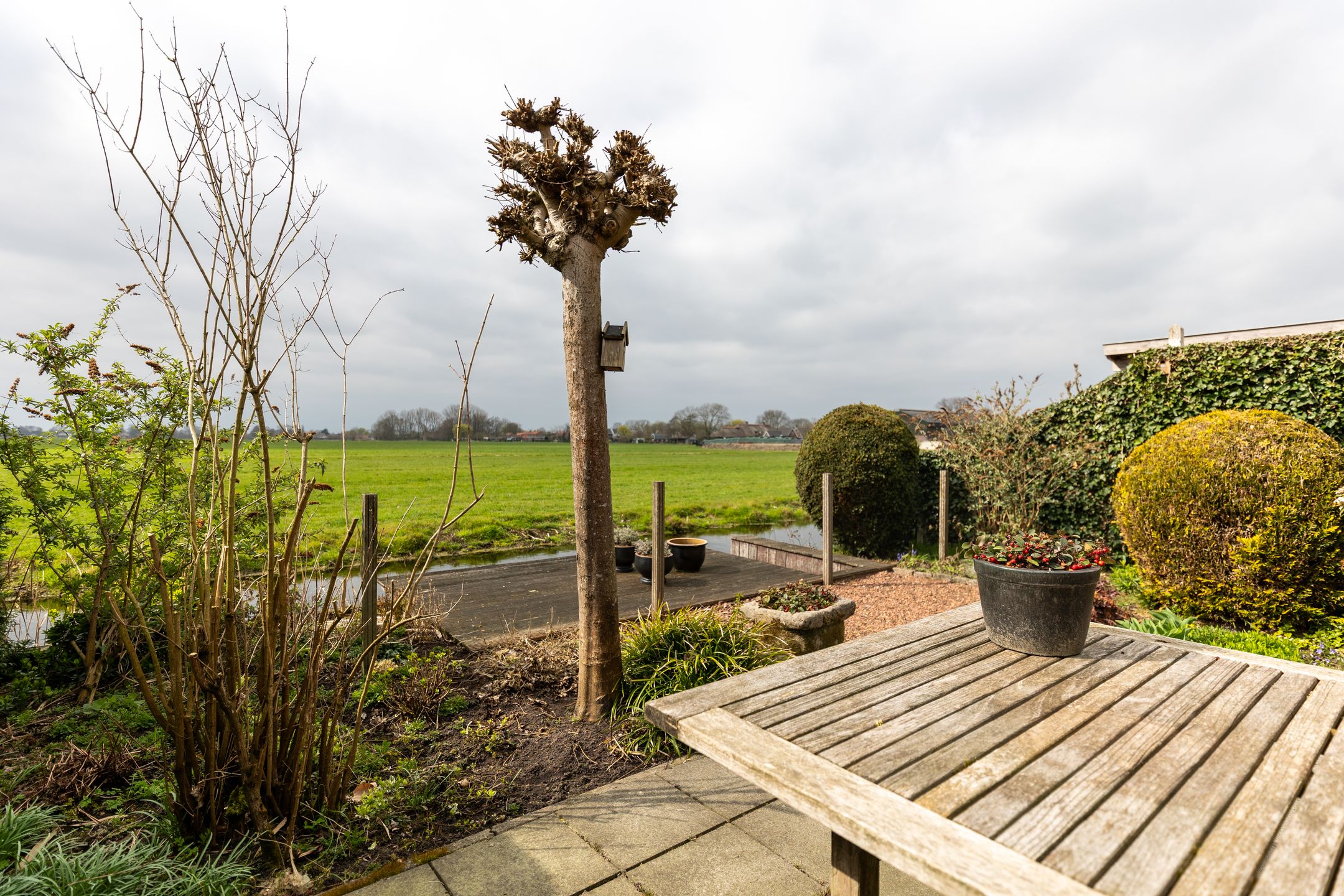 Foto 48 van Nicolaas van Catsweg 26