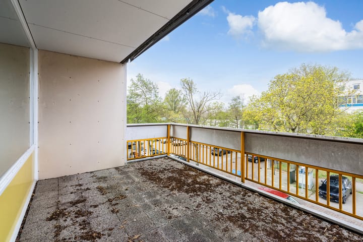 Foto 21 van Montgomerylaan 242