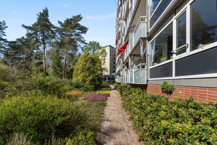 Photo 22 of Eper Veste 71