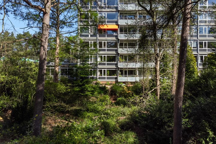 Photo 24 of Eper Veste 71