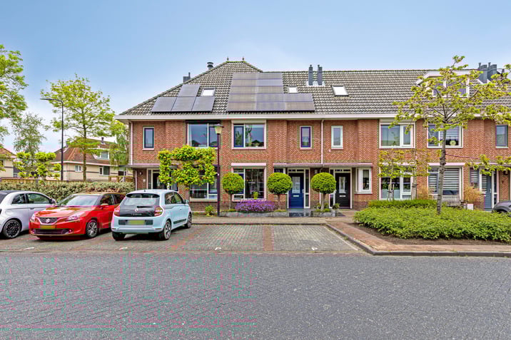 undefined main image