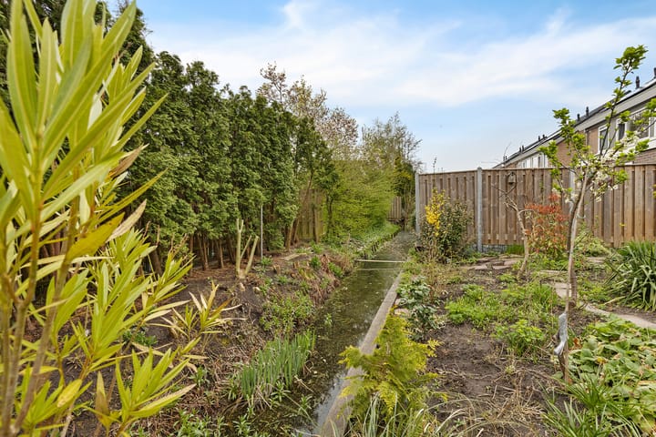 Foto 32 van Statenlaan 11