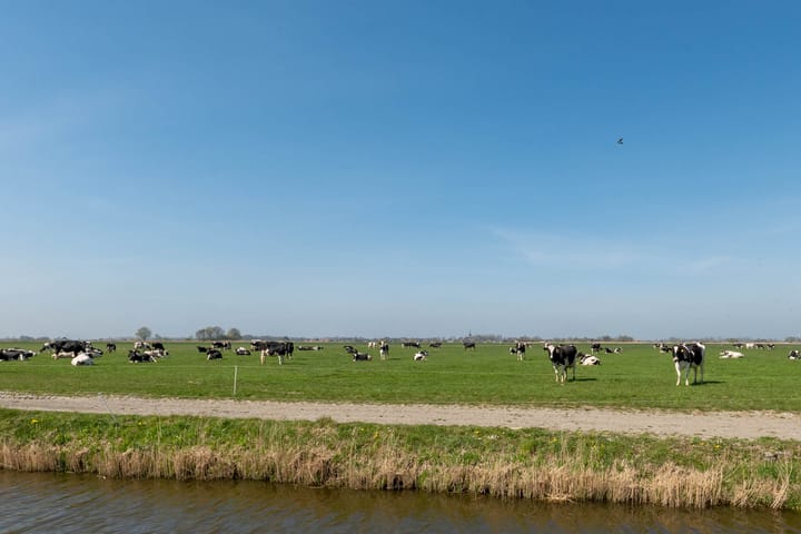 Photo 45 of Wogmeer 13