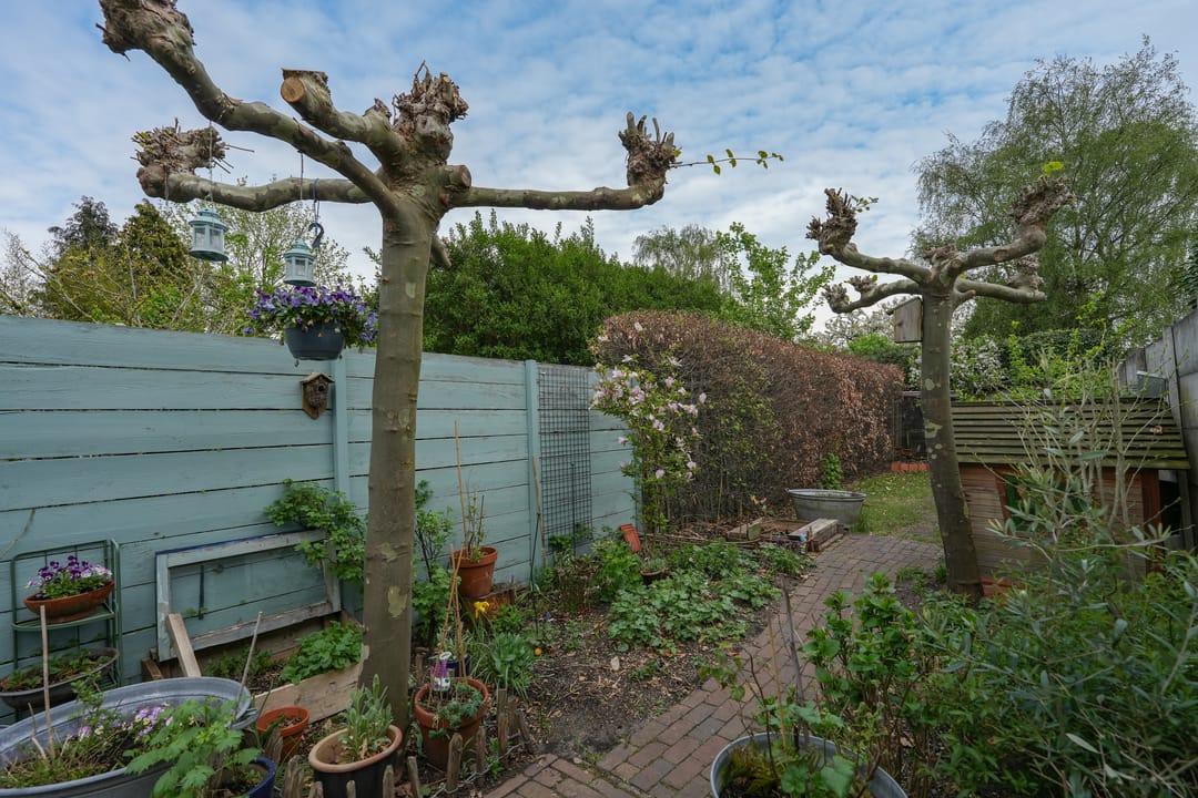 Foto 32 van Hatertseweg 229