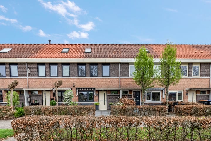 undefined main image