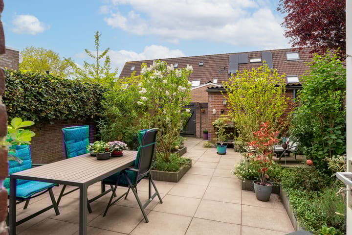 Foto 5 van Lijster 24