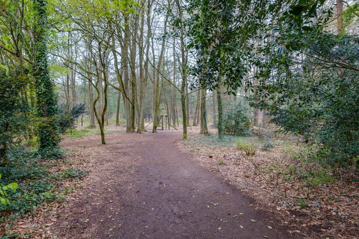 Foto 31 van Peter van Anrooylaan 24