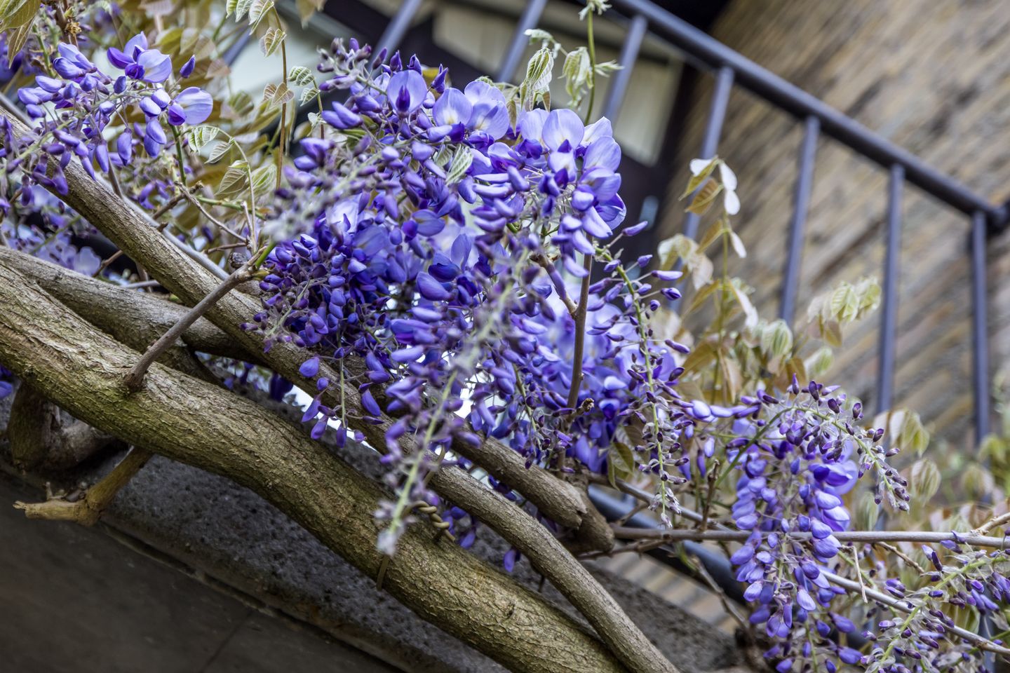 Foto 35 van Molenveld 3