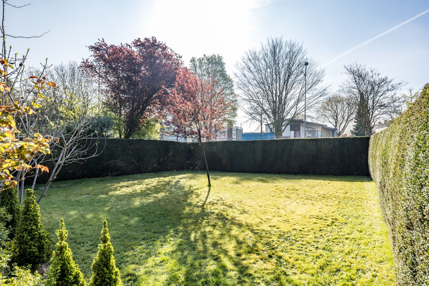 Foto 40 van Molenveld 3