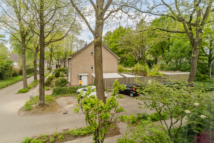 Foto 50 van Erasmuslaan 7