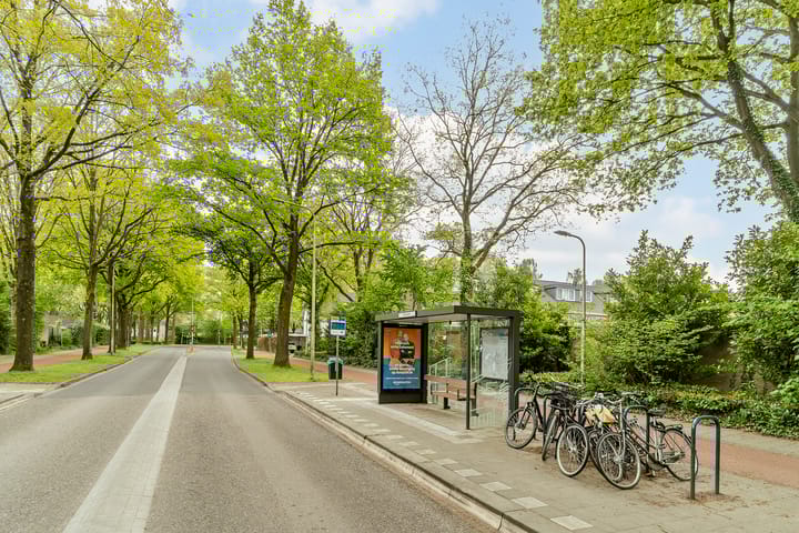 Foto 53 van Erasmuslaan 7