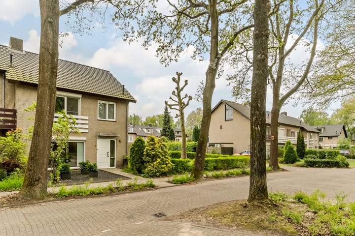 Foto 60 van Erasmuslaan 7